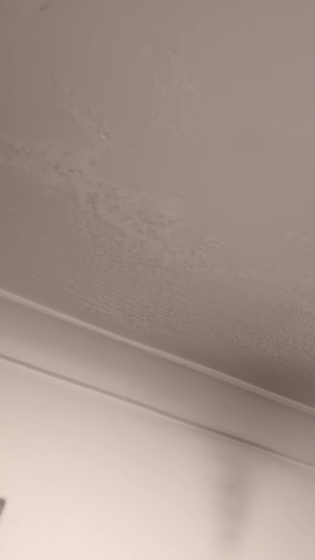Bathroom ceiling
