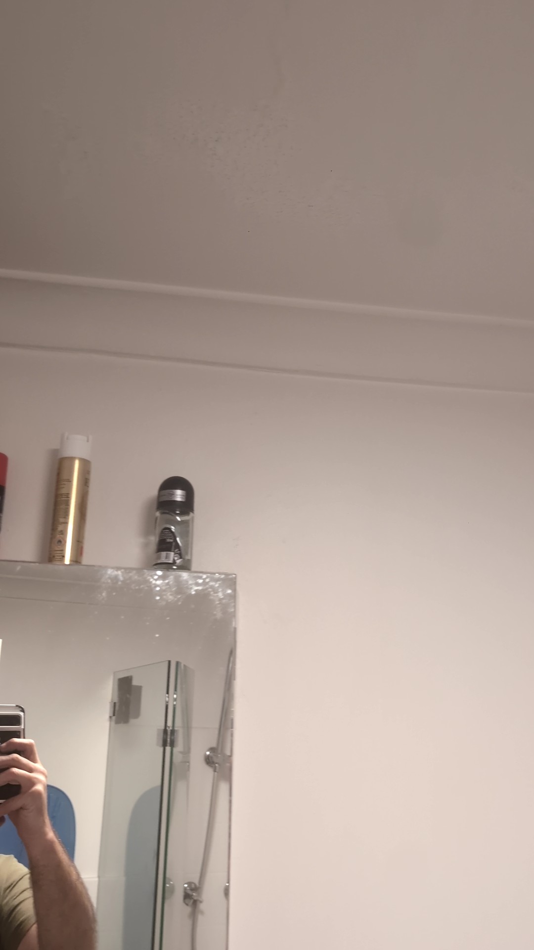 Mirror area